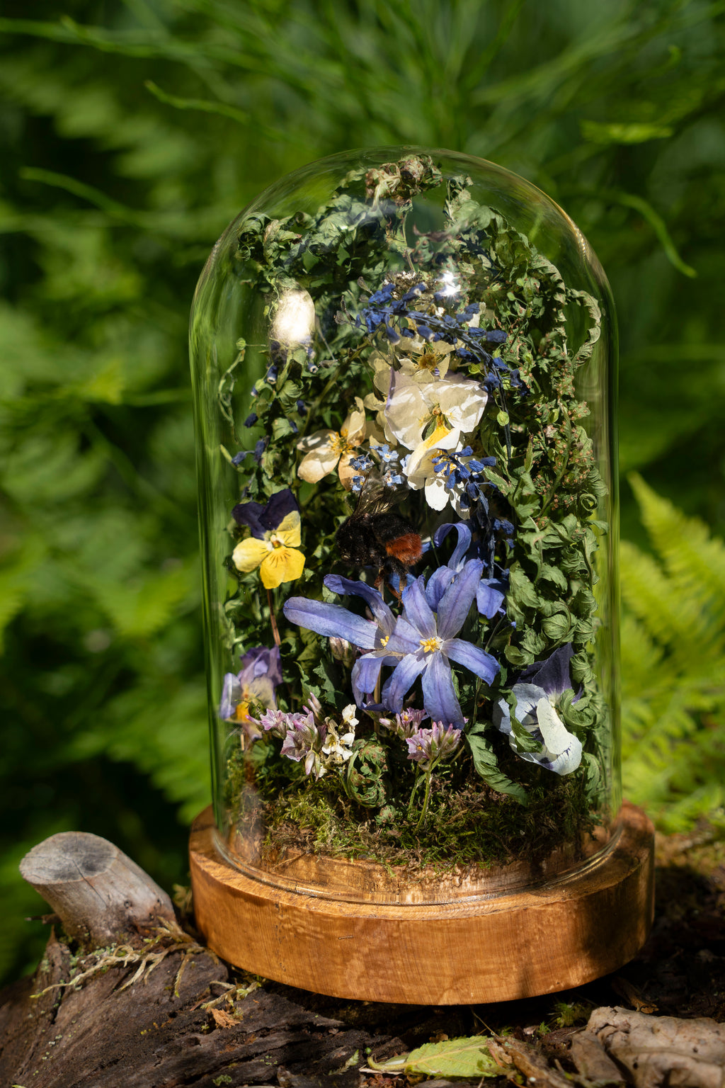 Mini World: Blue Star