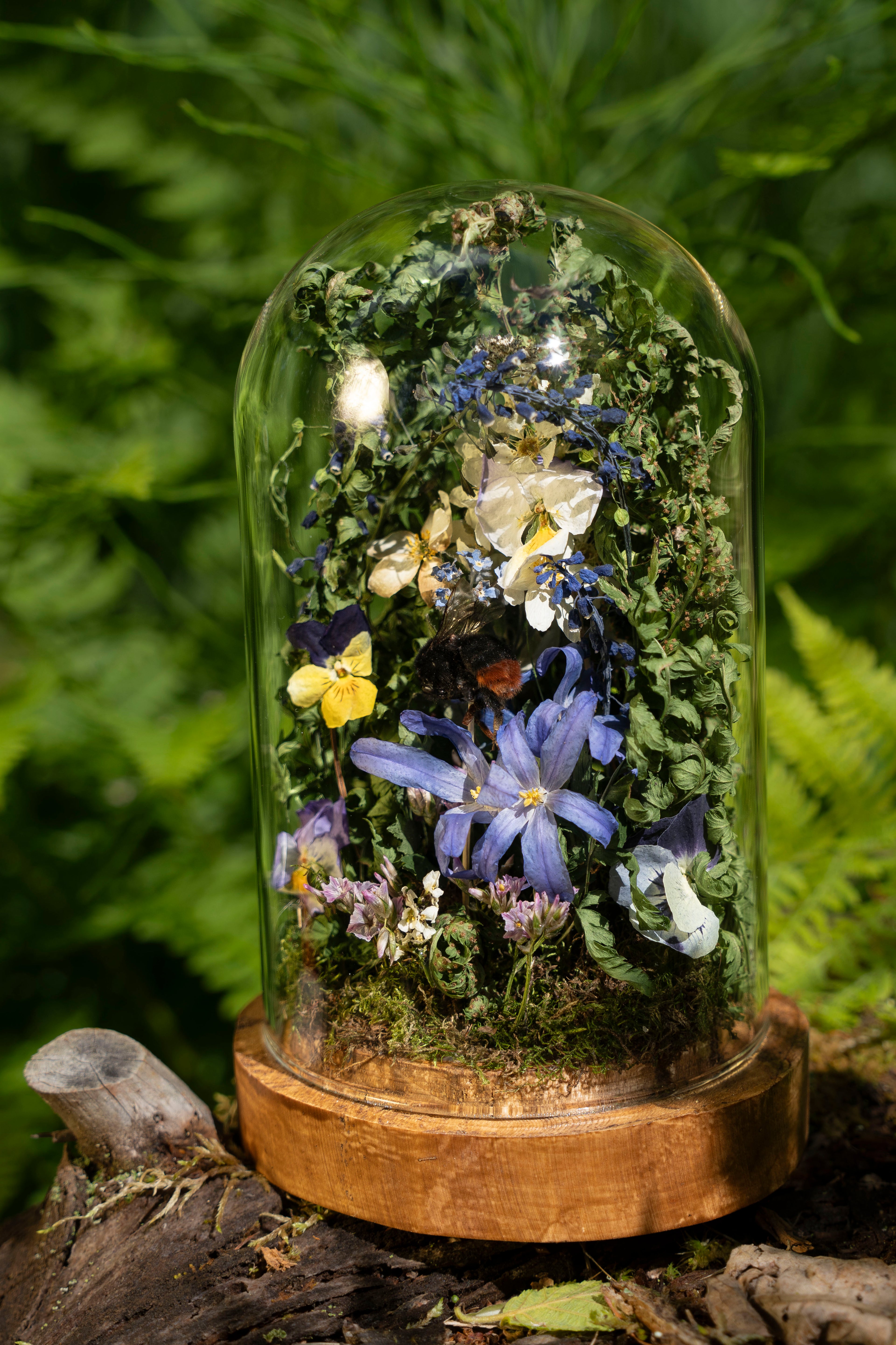 Mini World: Blue Star