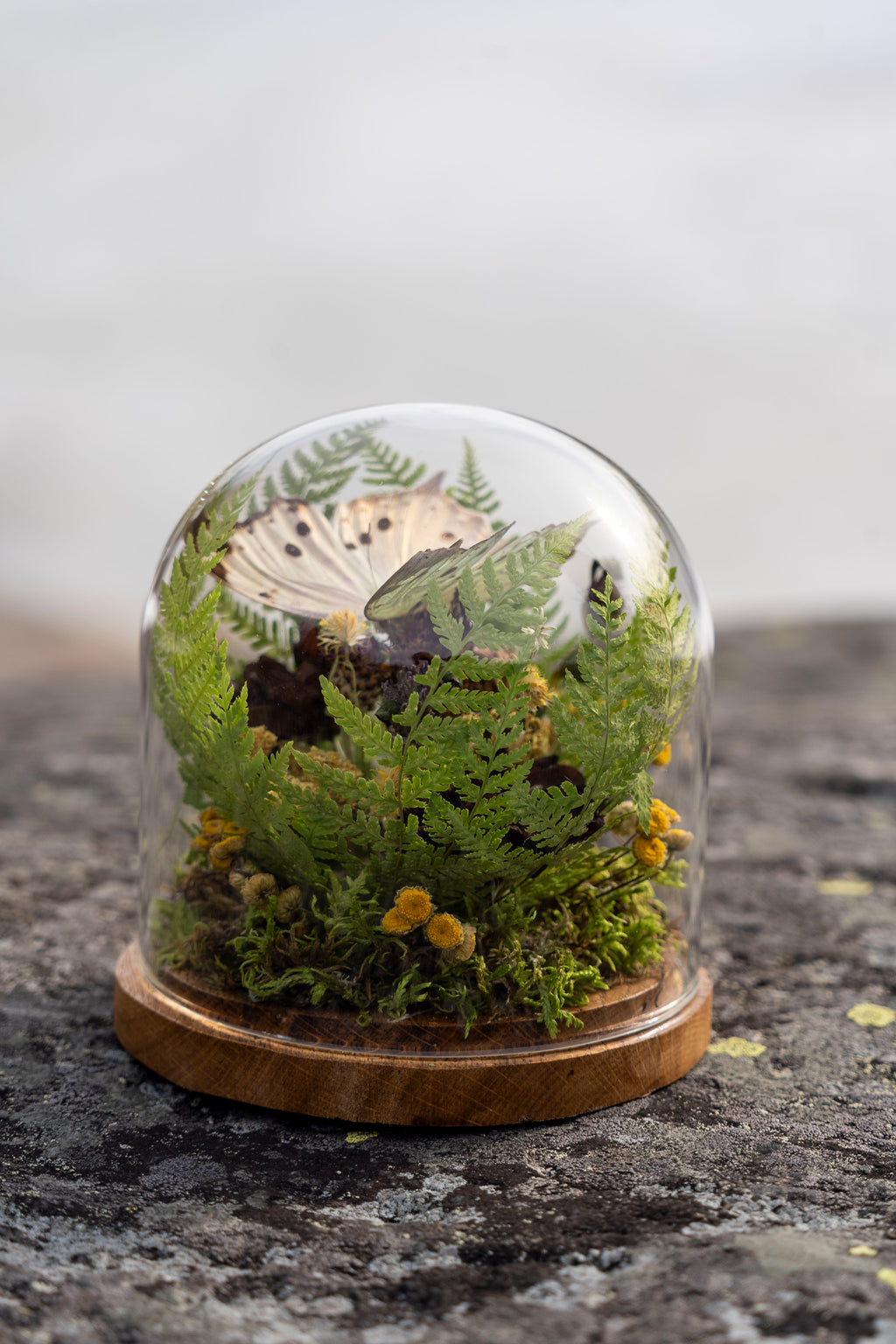 Mini World: Rosa Glimmer