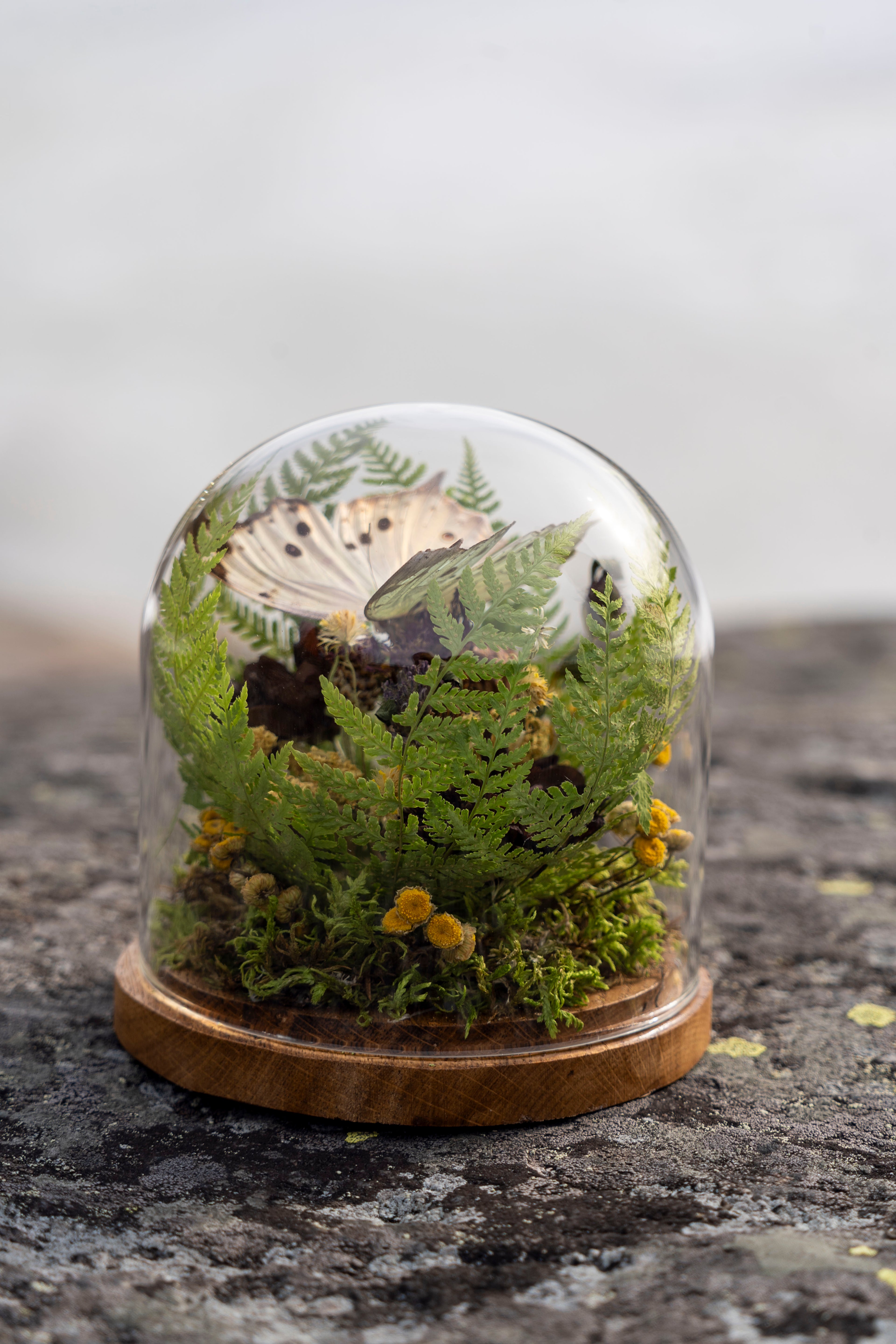 Mini World: Pink Glimmer