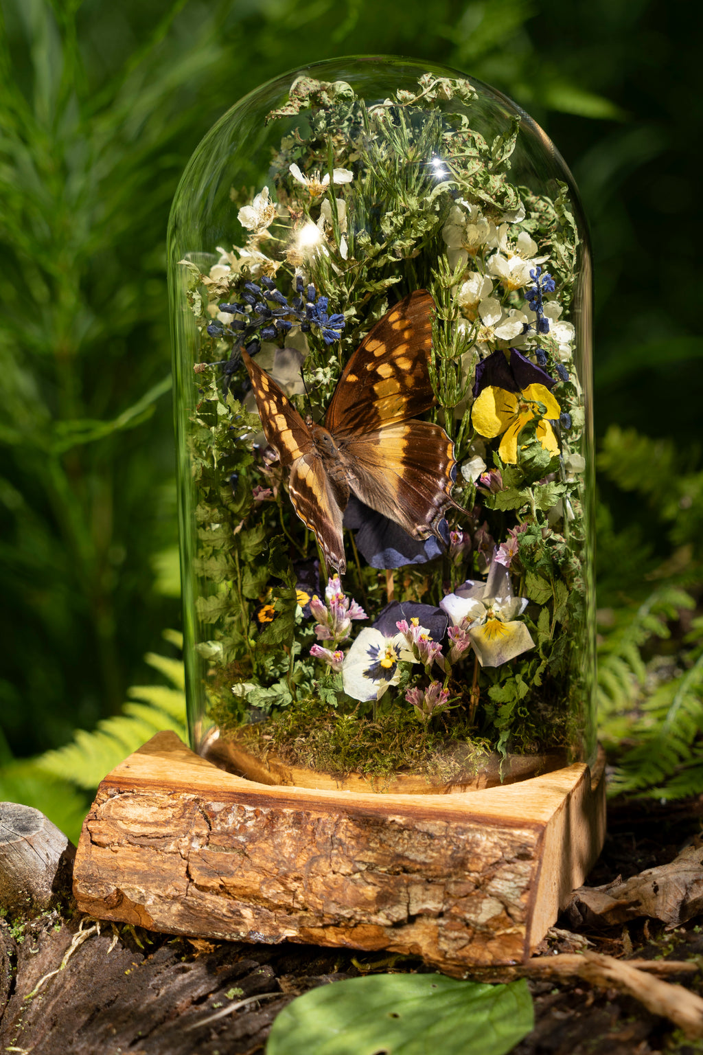 Mini World: Green Embrace