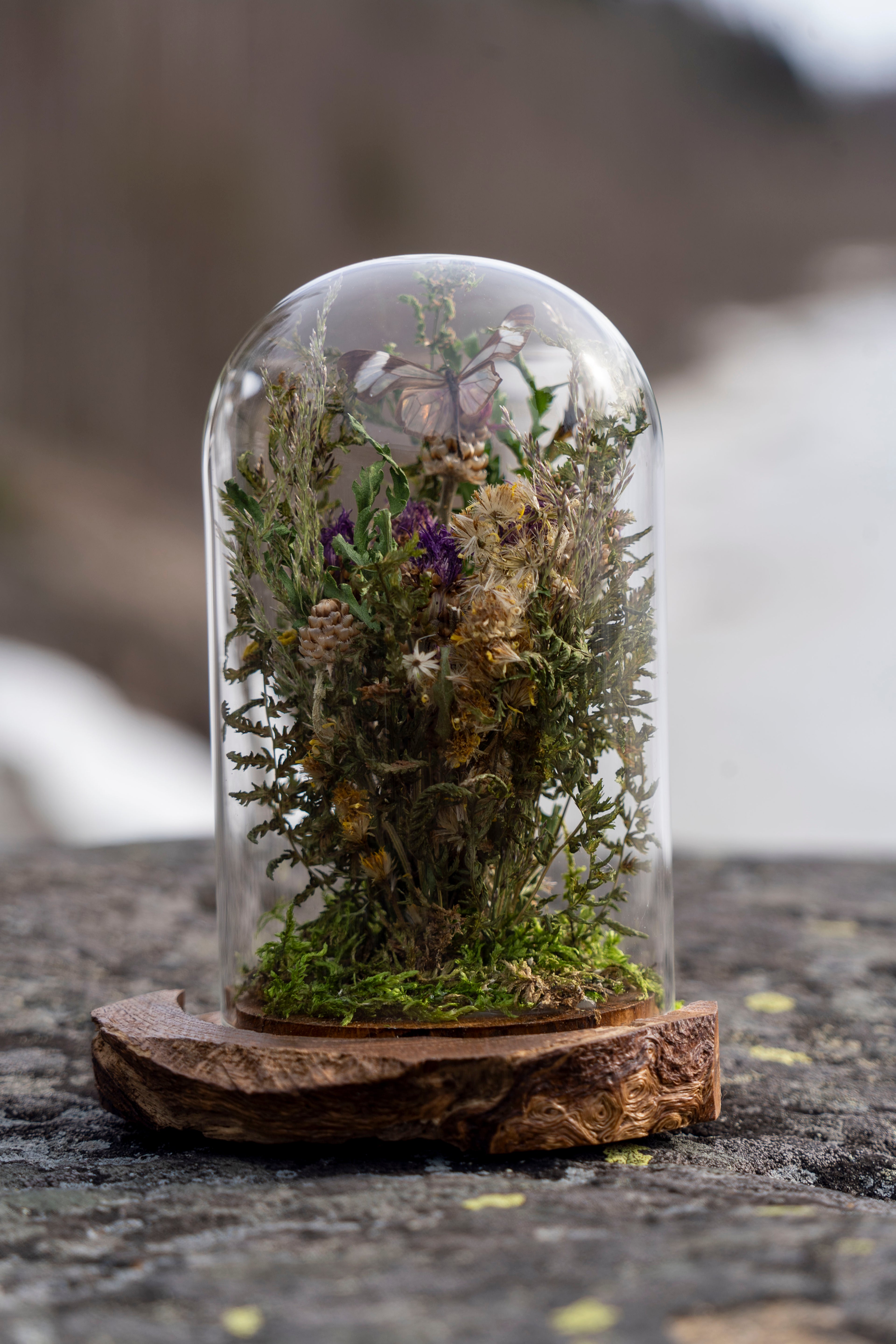 Mini World: Delicate Wings