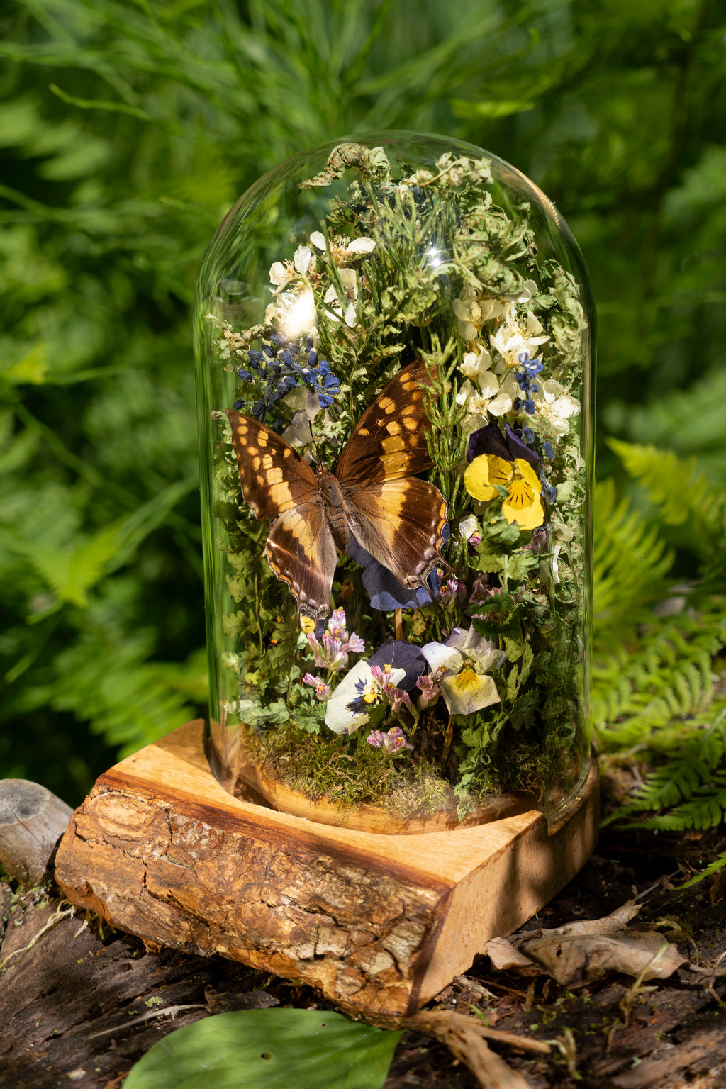 Mini World: Green Embrace