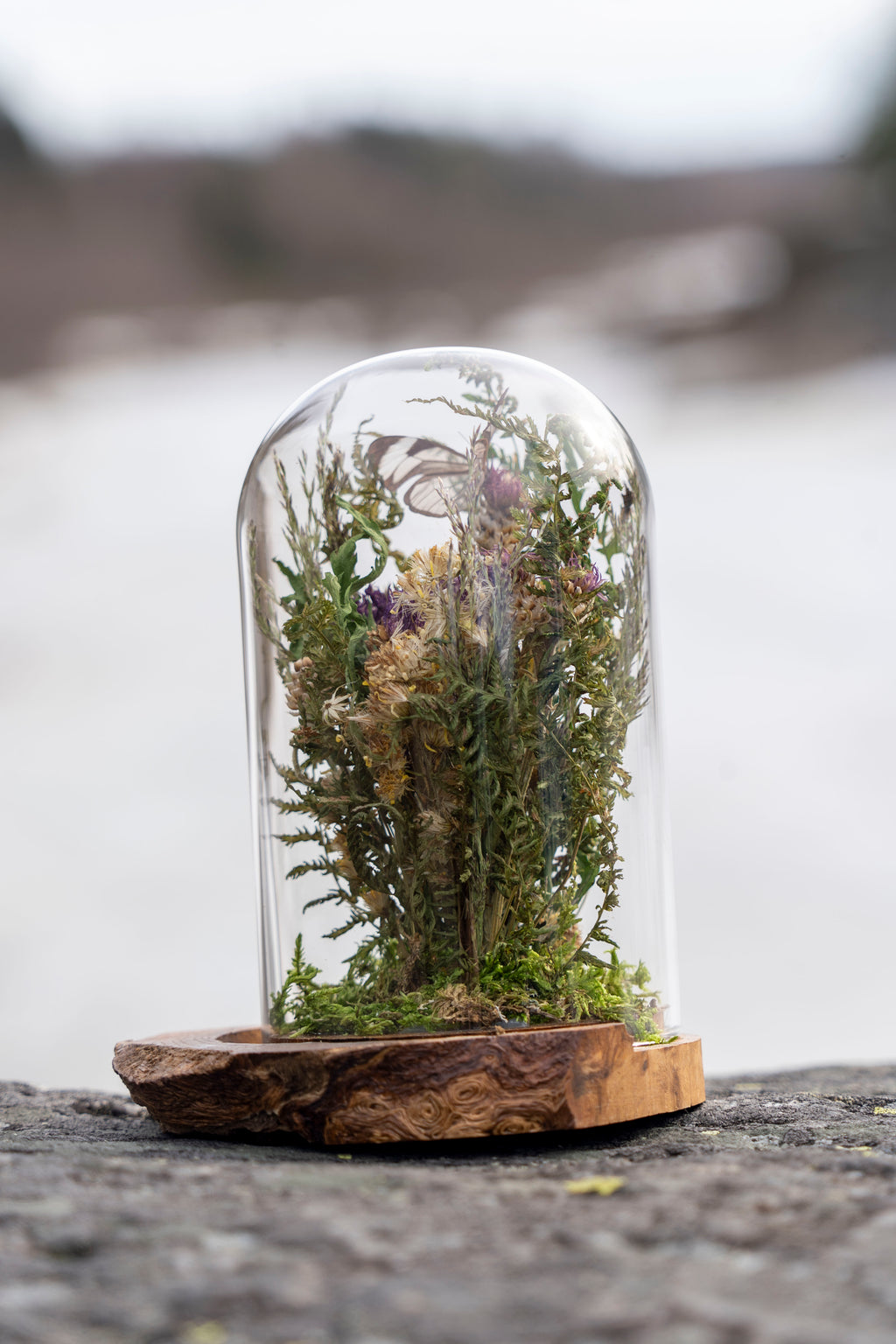 Mini World: Delicate Wings