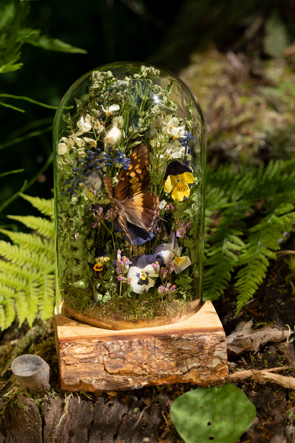Mini World: Green Embrace