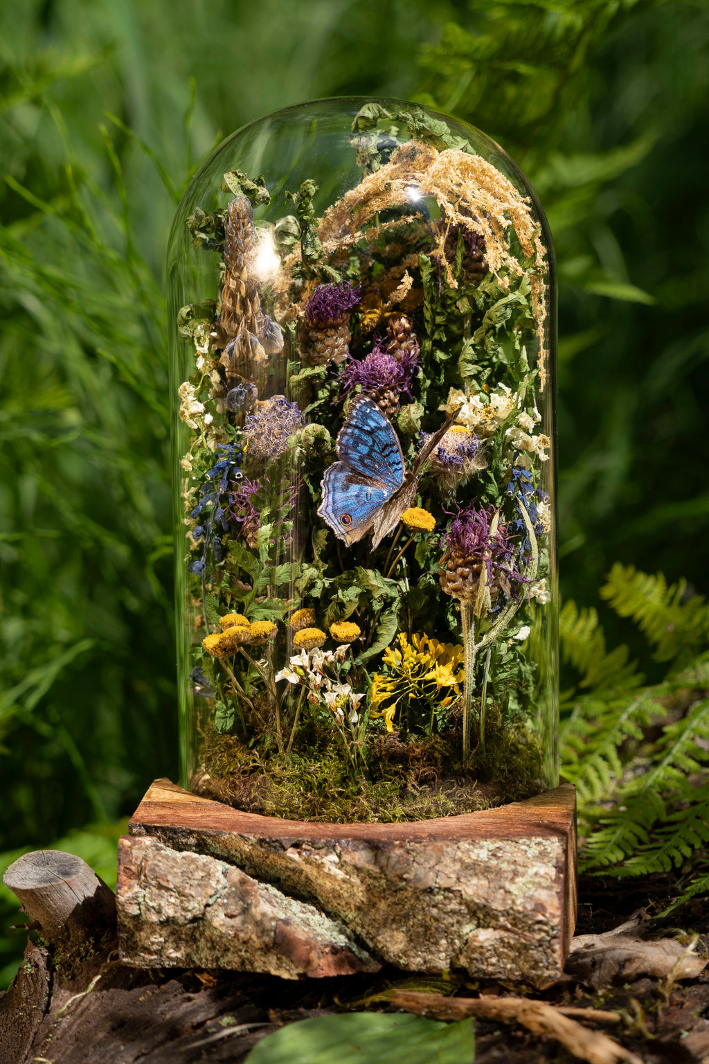 Mini World: Warm Days