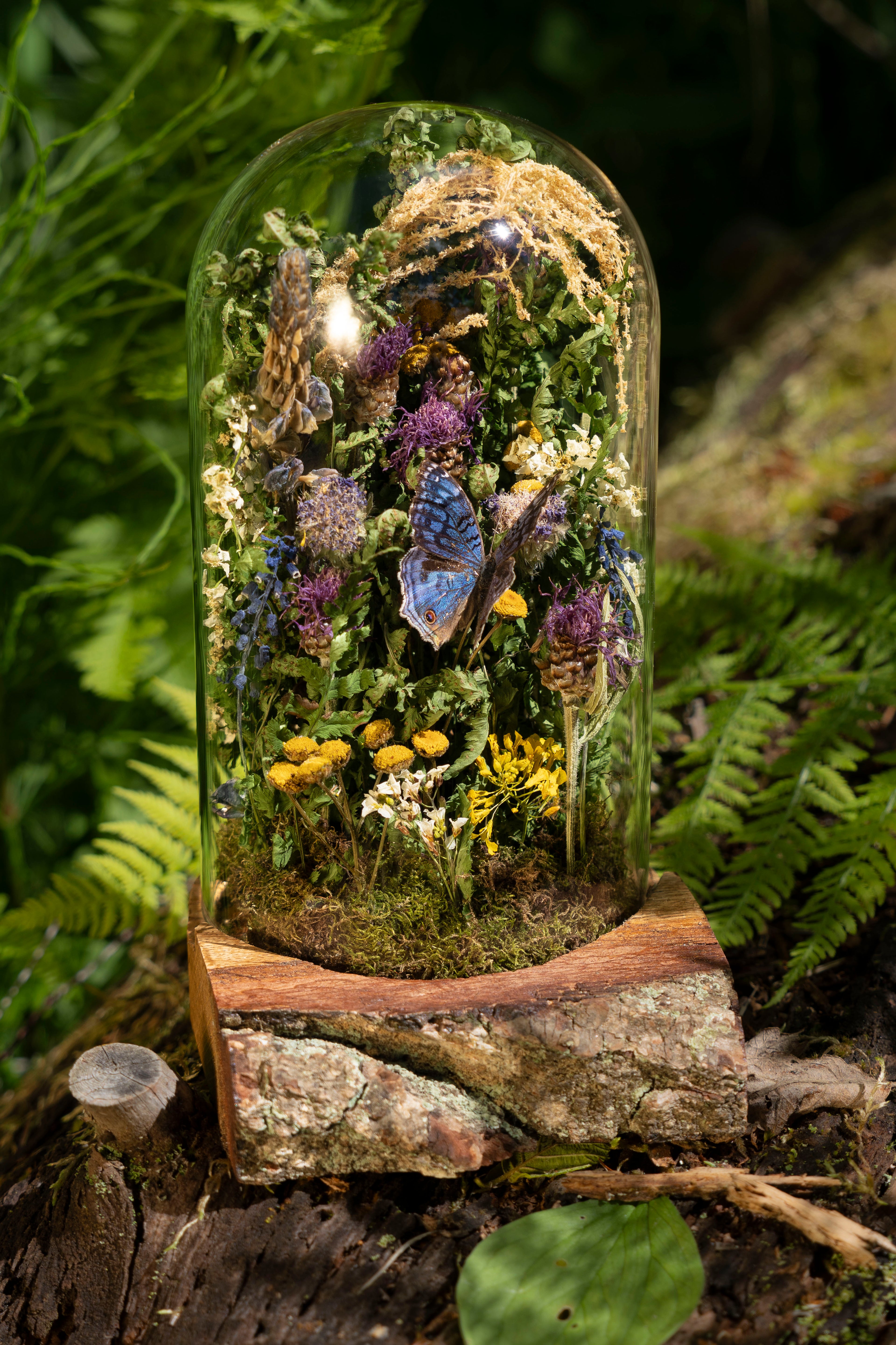 Mini World: Warm Days