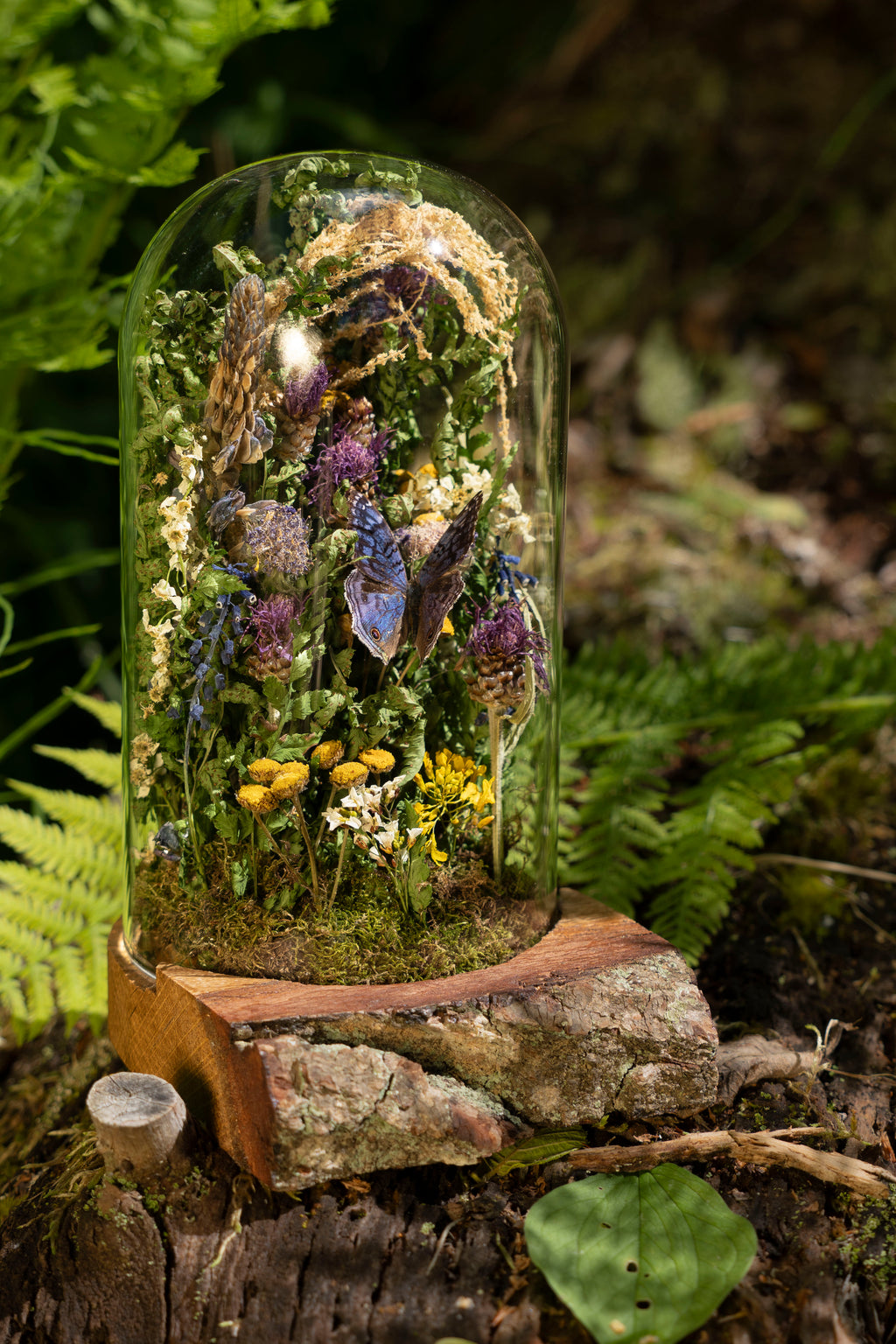 Mini World: Warm Days
