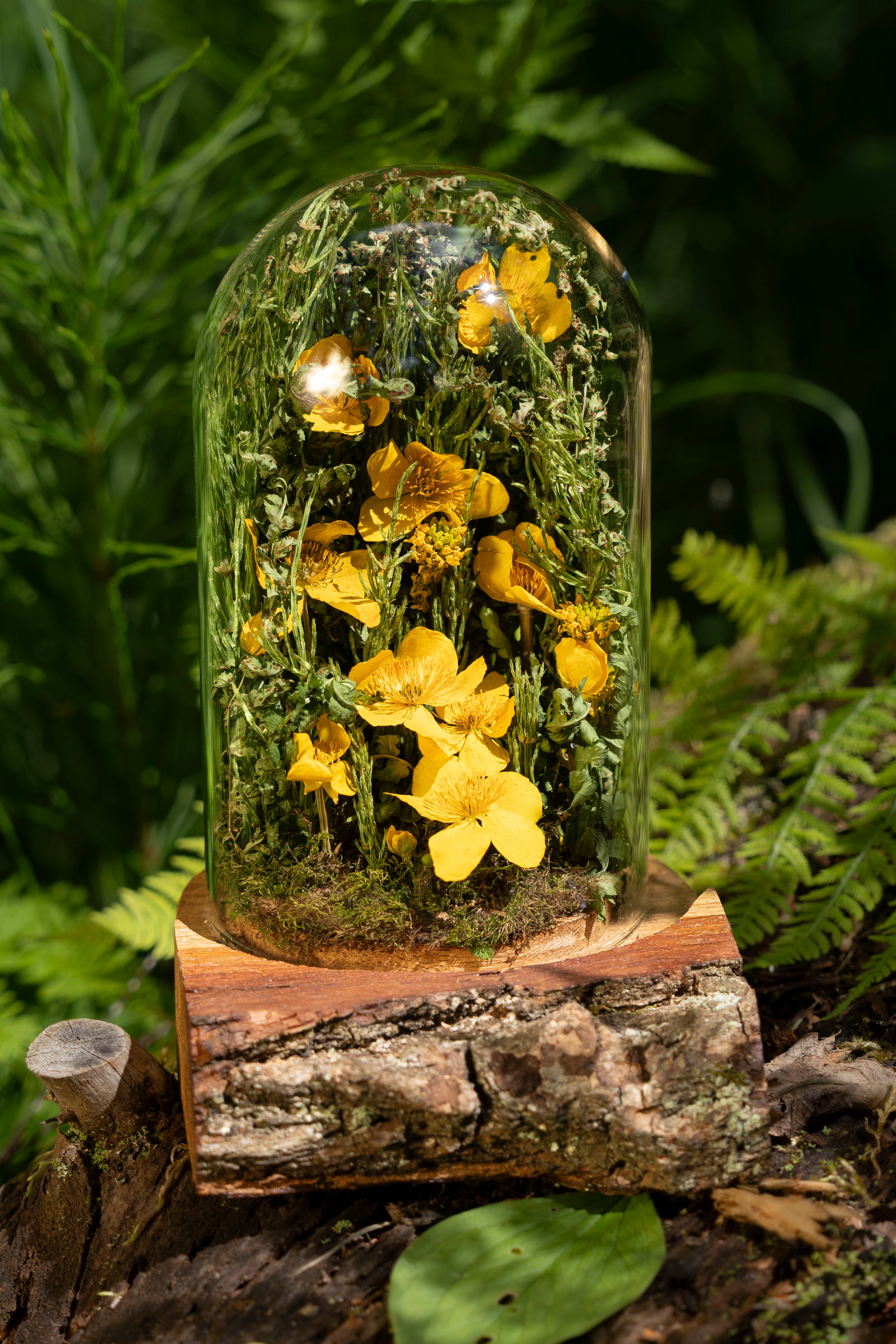 Mini World: Buttercups