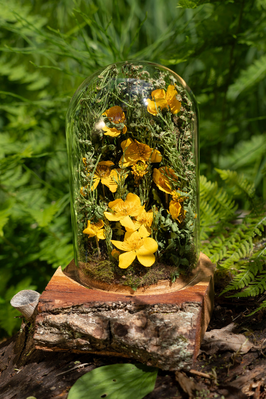 Mini World: Buttercups