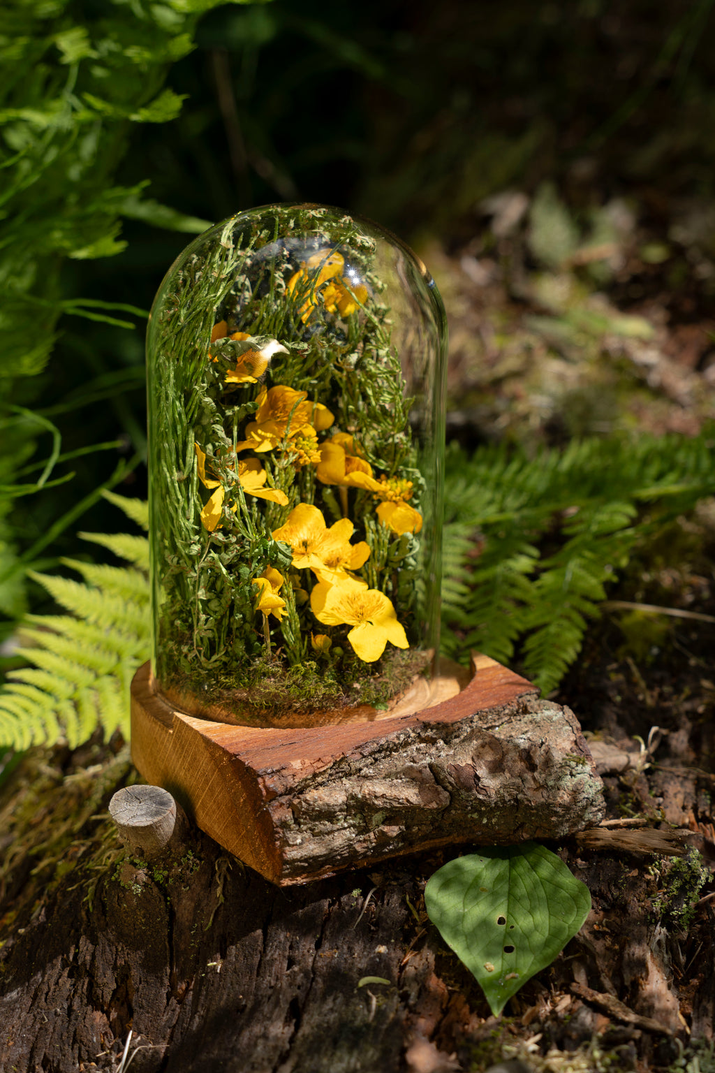 Mini World: Buttercups