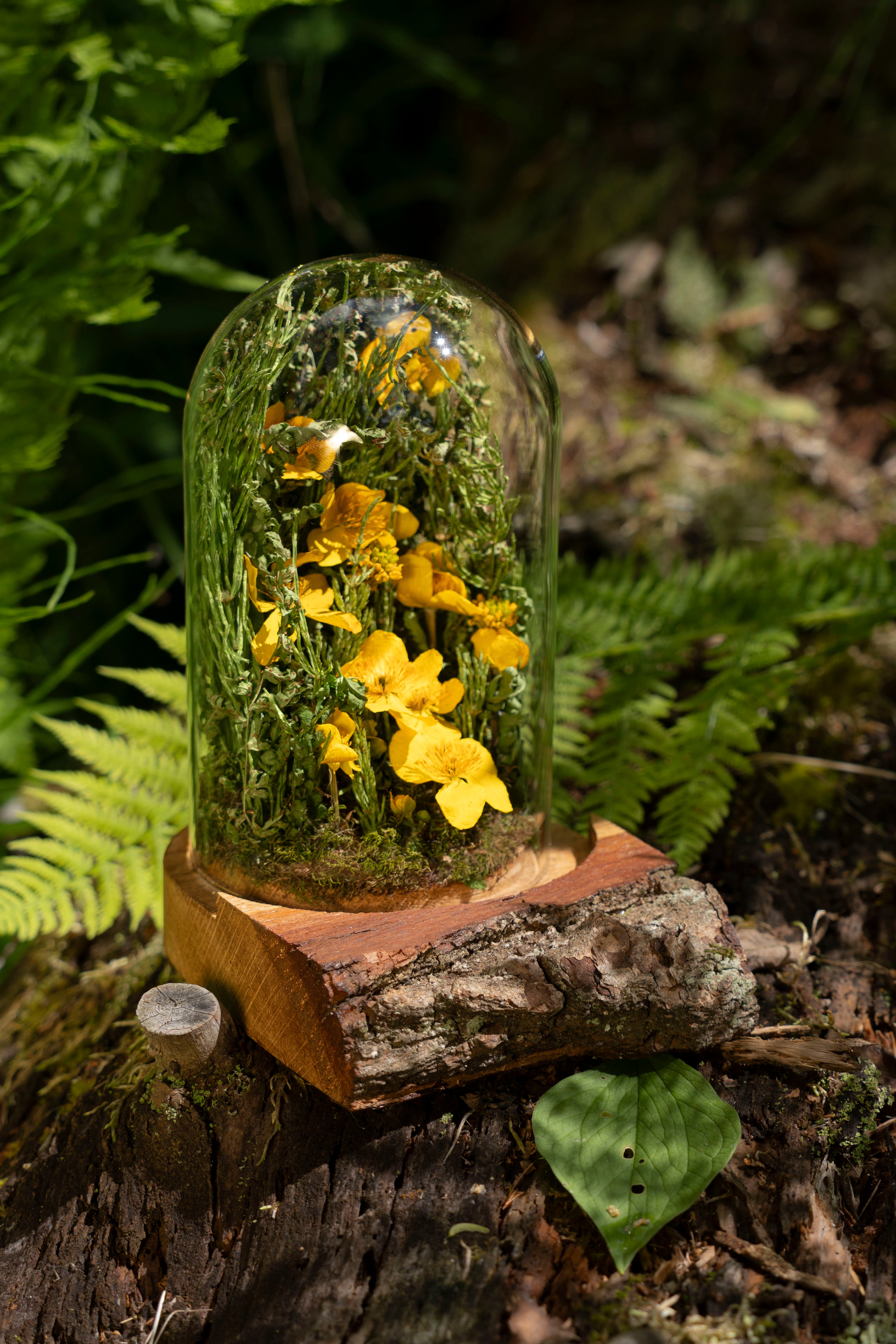 Mini World: Buttercups