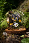 Mini World: Secret Garden