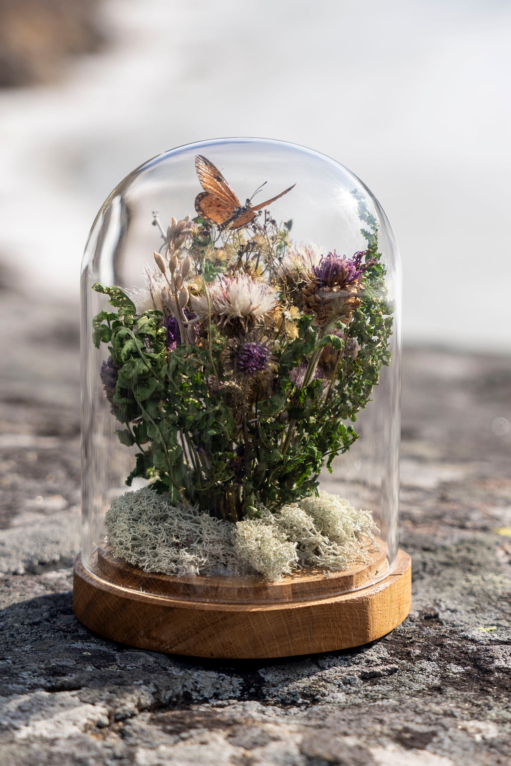 Mini World: Vit lav
