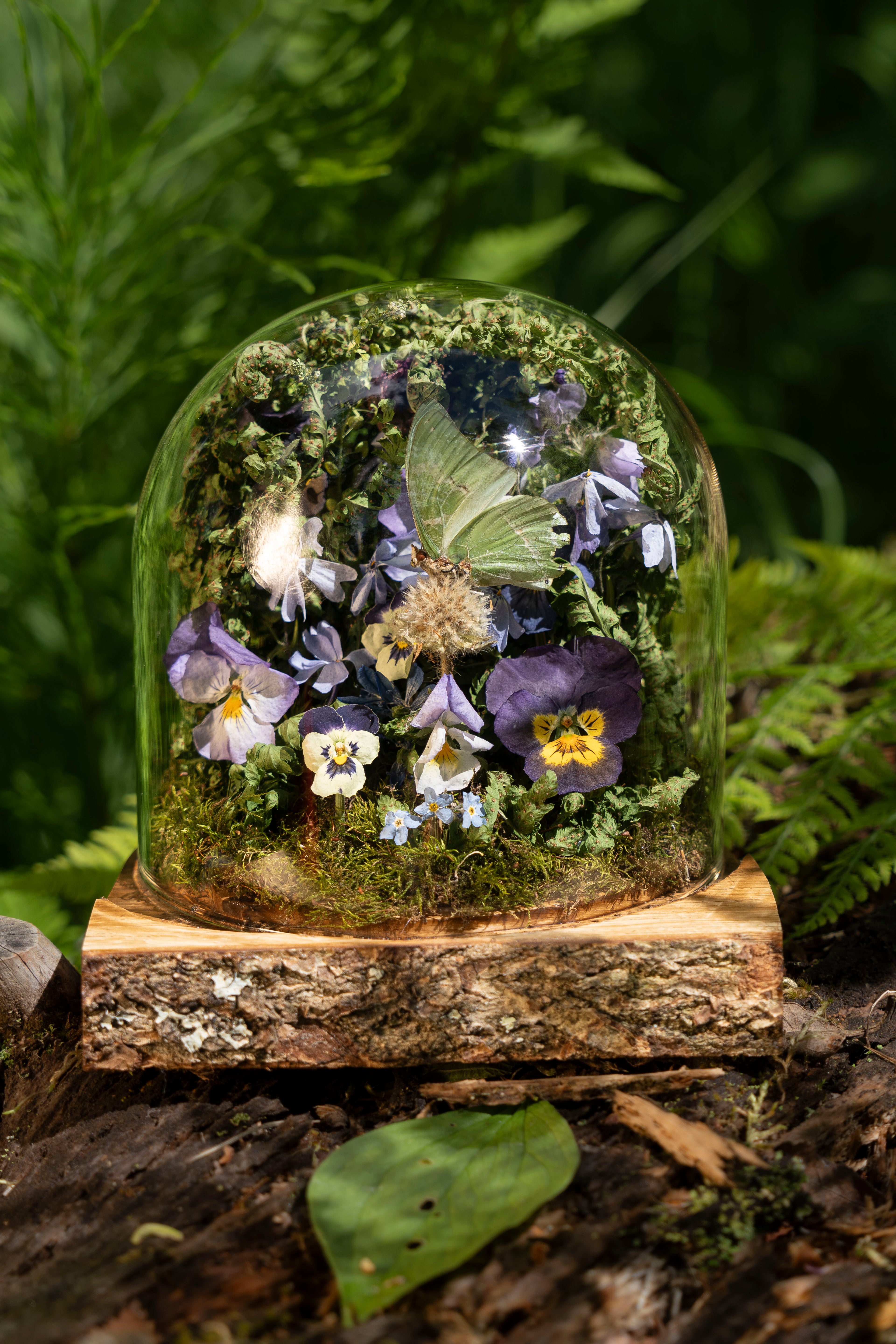 Mini World: Light