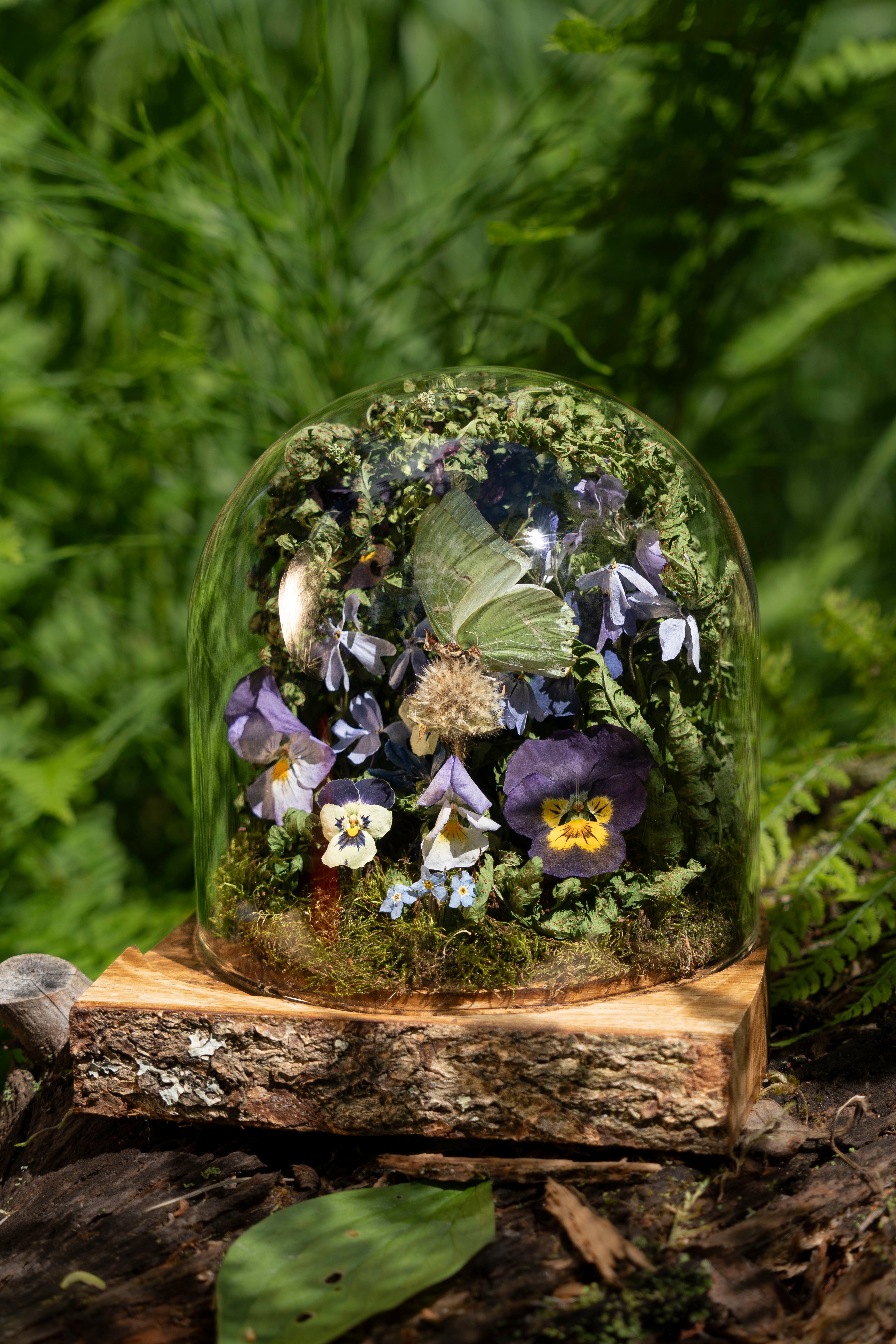 Mini World: Light
