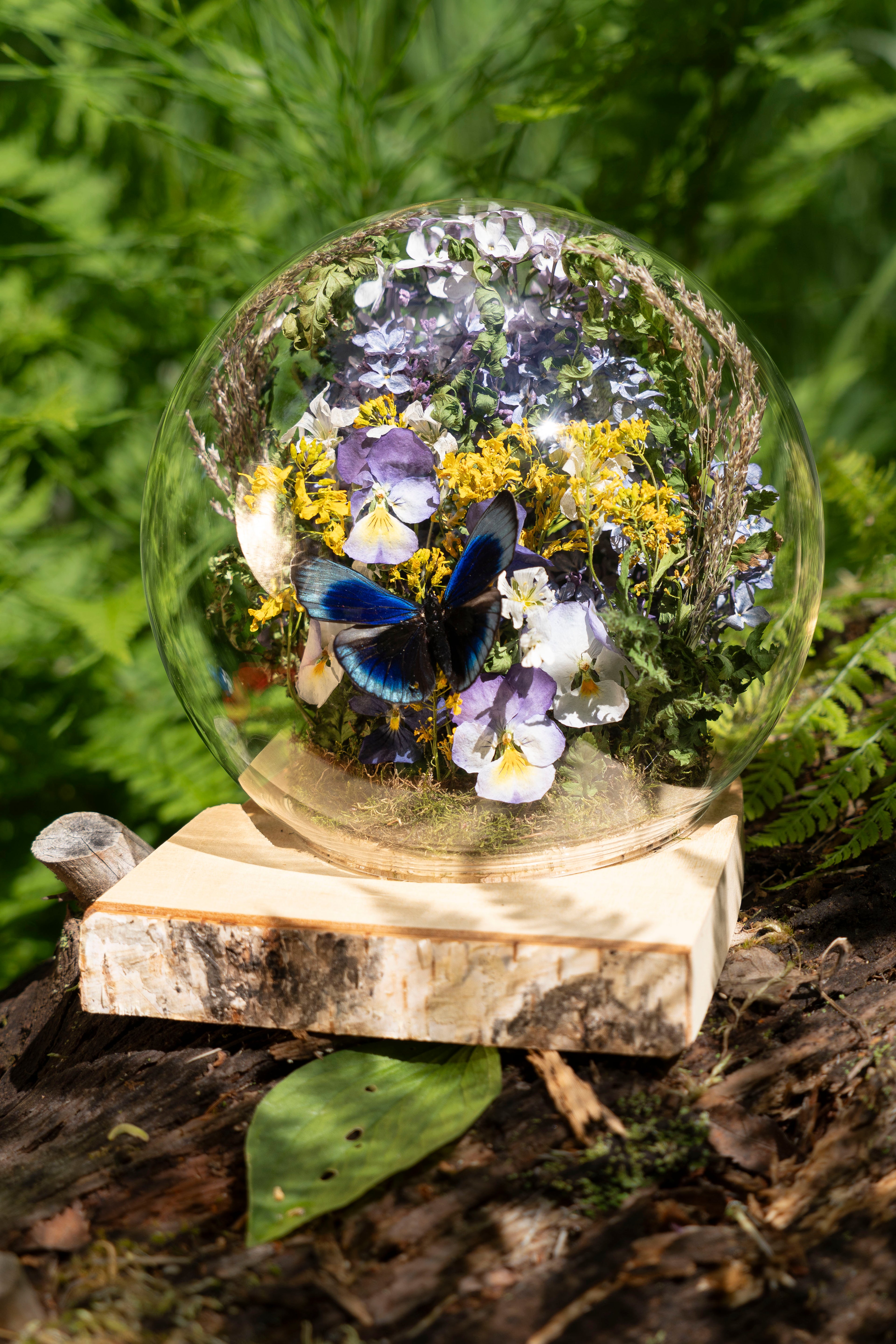 Mini World: Birch