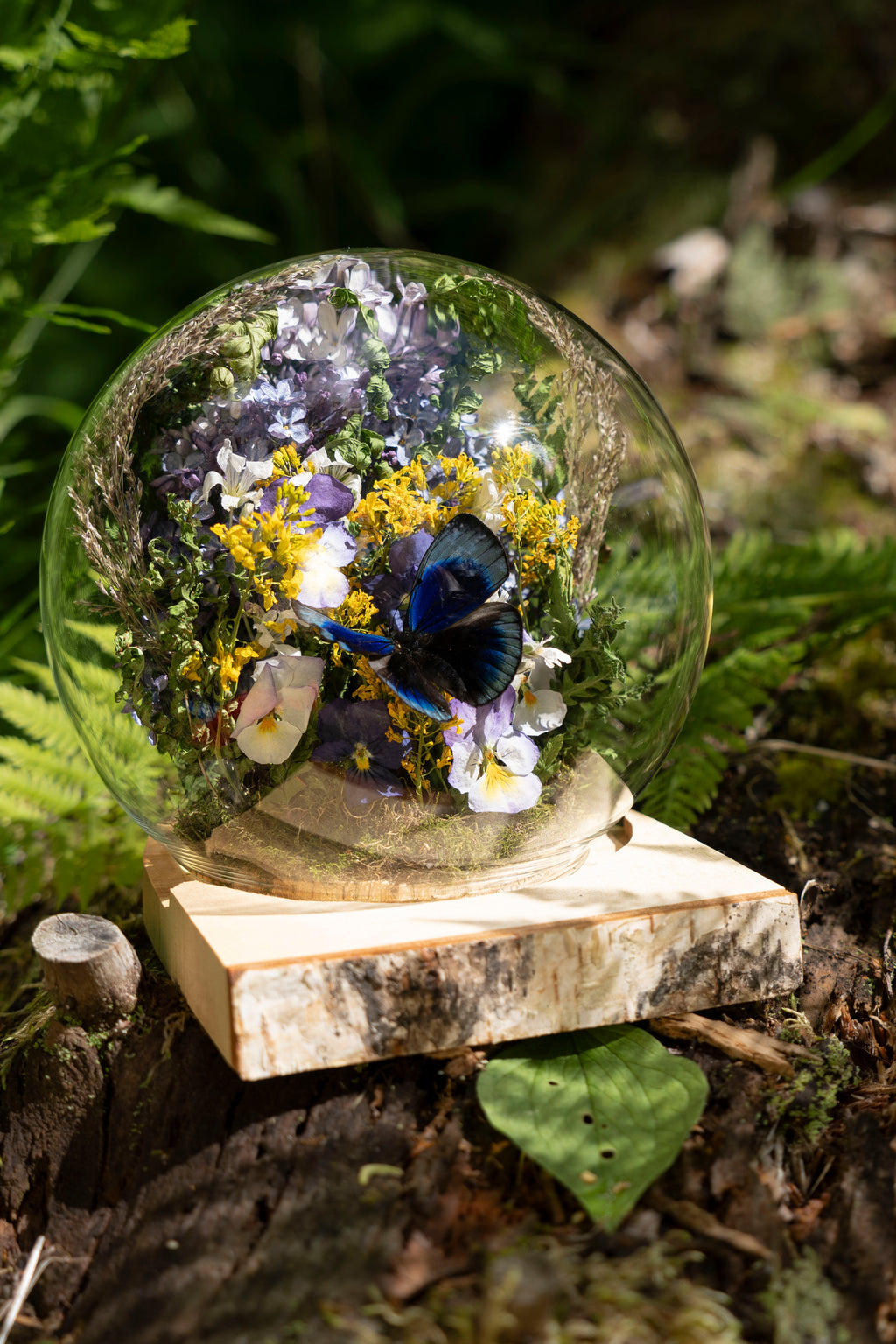 Mini World: Birch