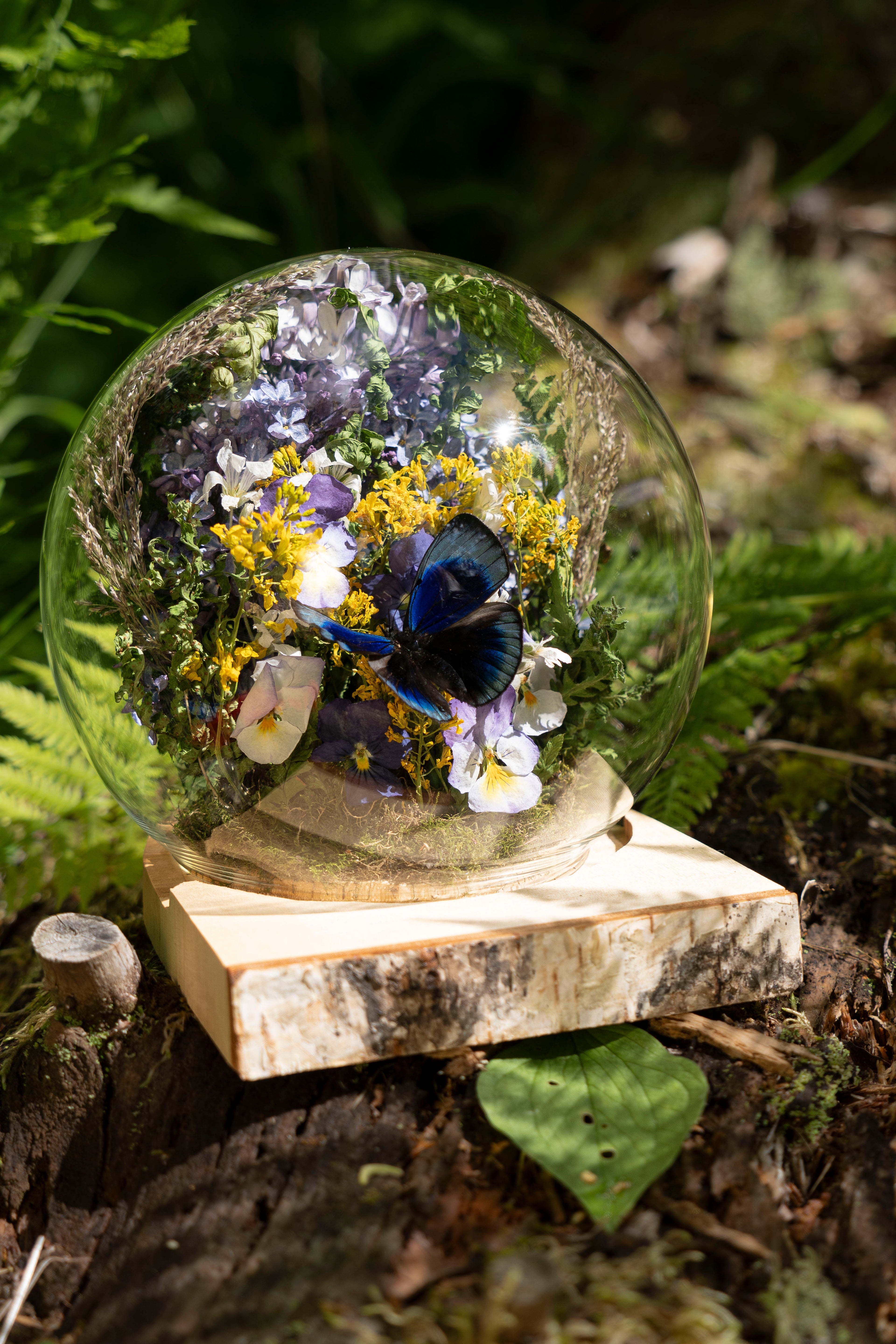 Mini World: Birch