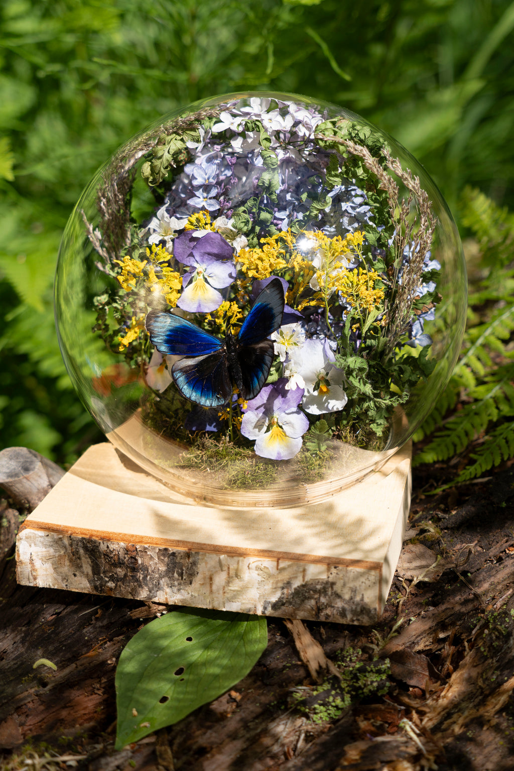 Mini World: Birch