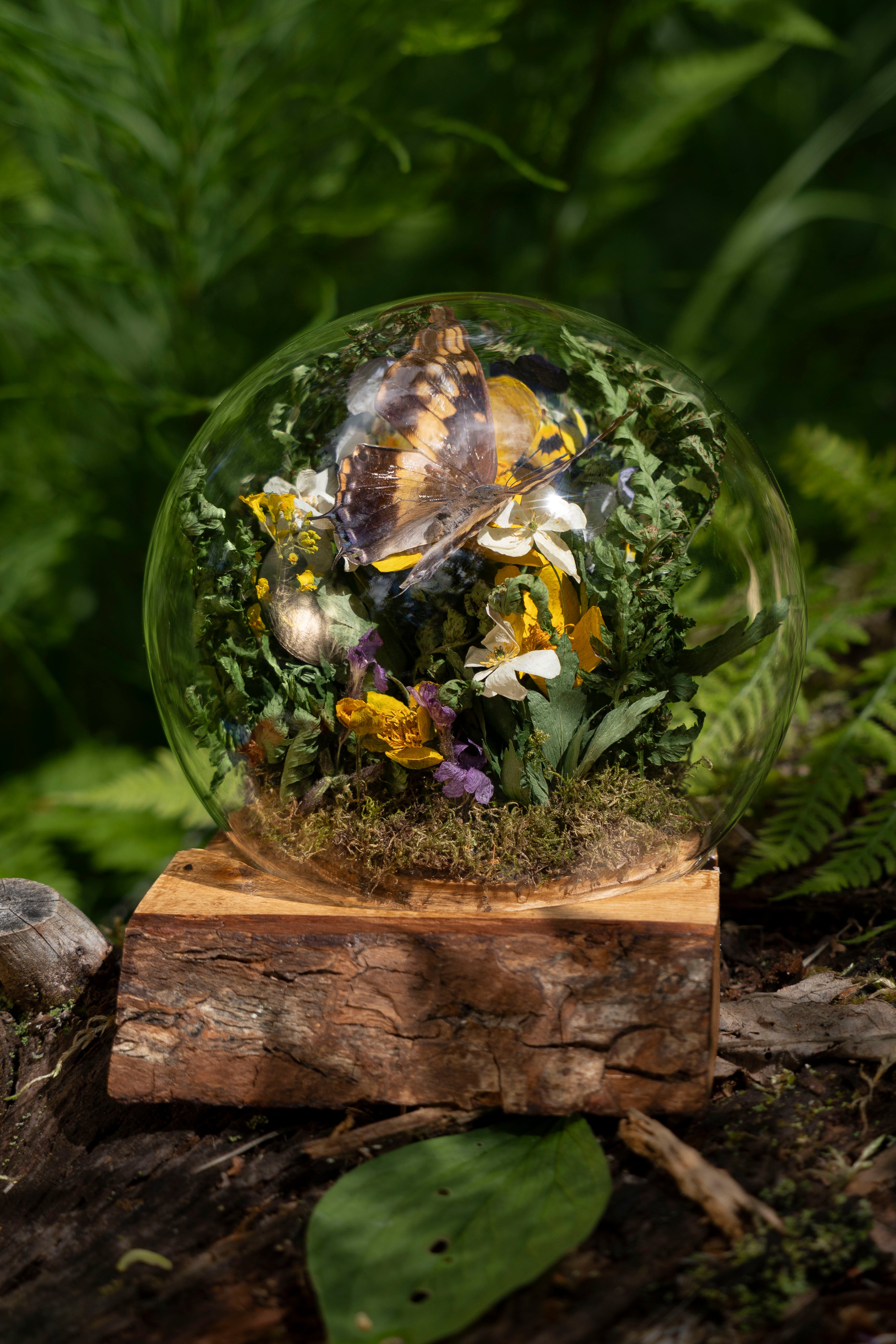 Mini World