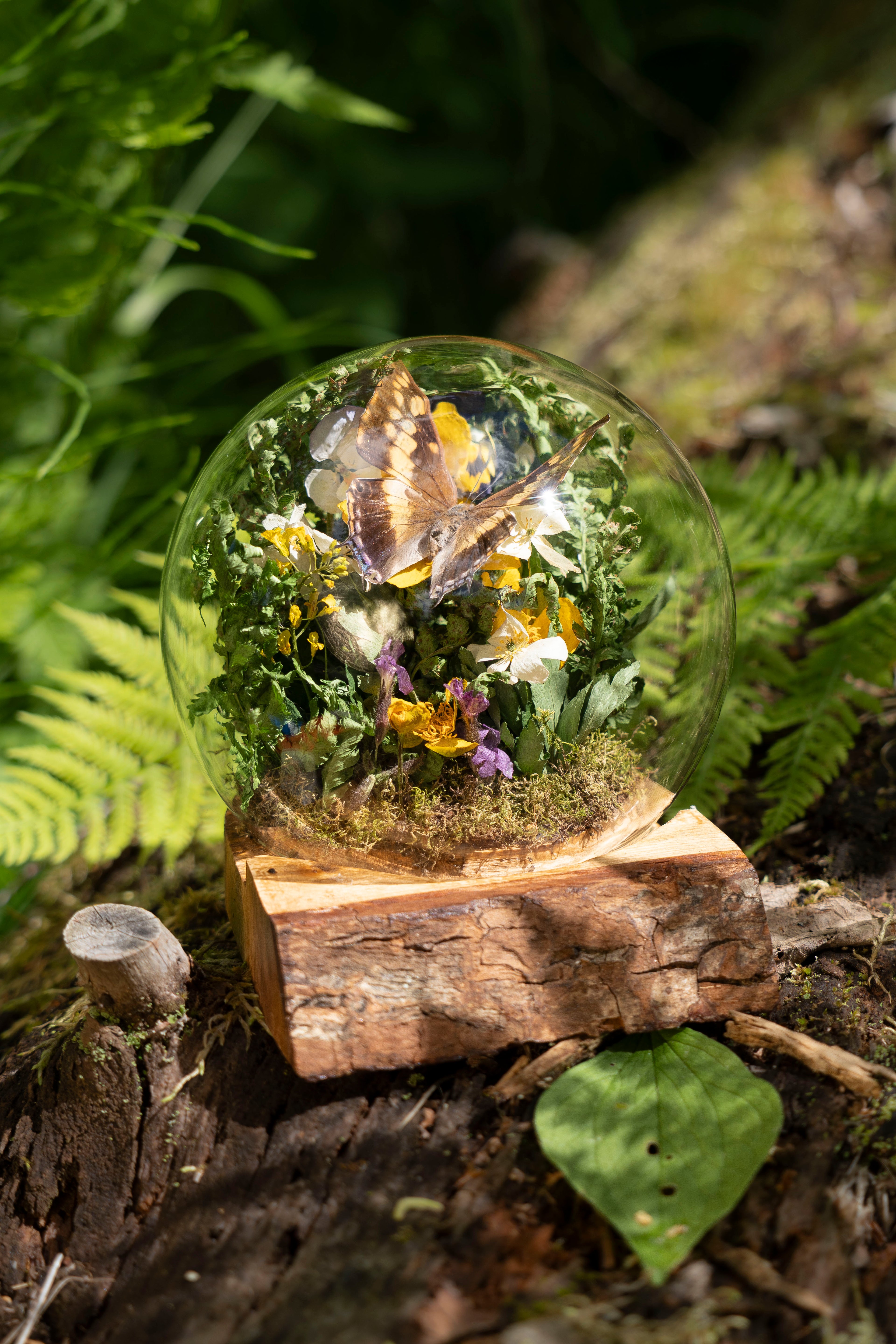 Mini World
