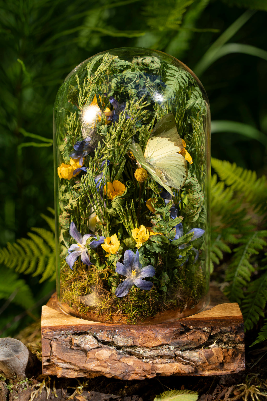 Mini World: Buttercups