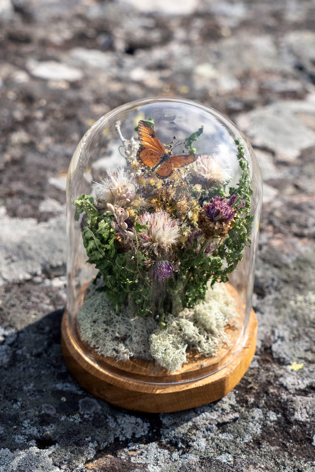 Mini World: Vit lav