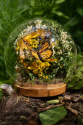 Mini World: Monarch Butterfly