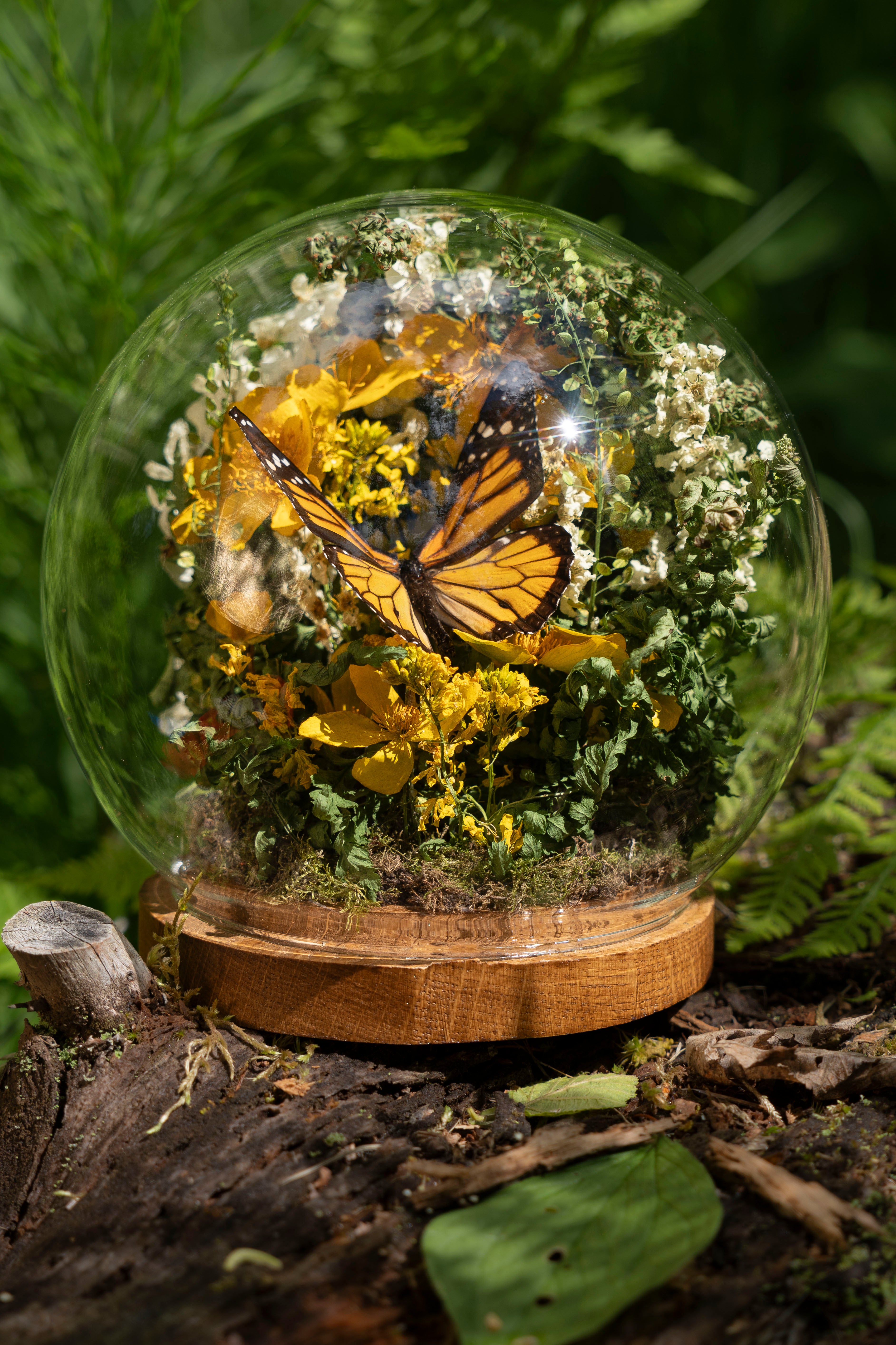 Mini World: Monarch Butterfly
