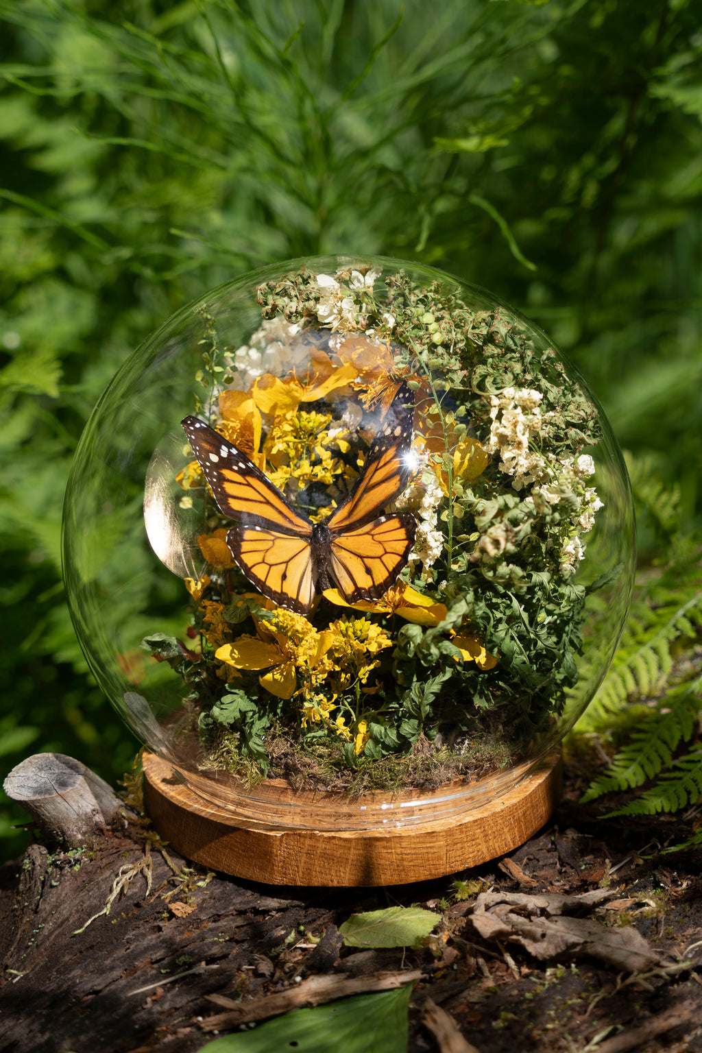 Mini World: Monarch Butterfly