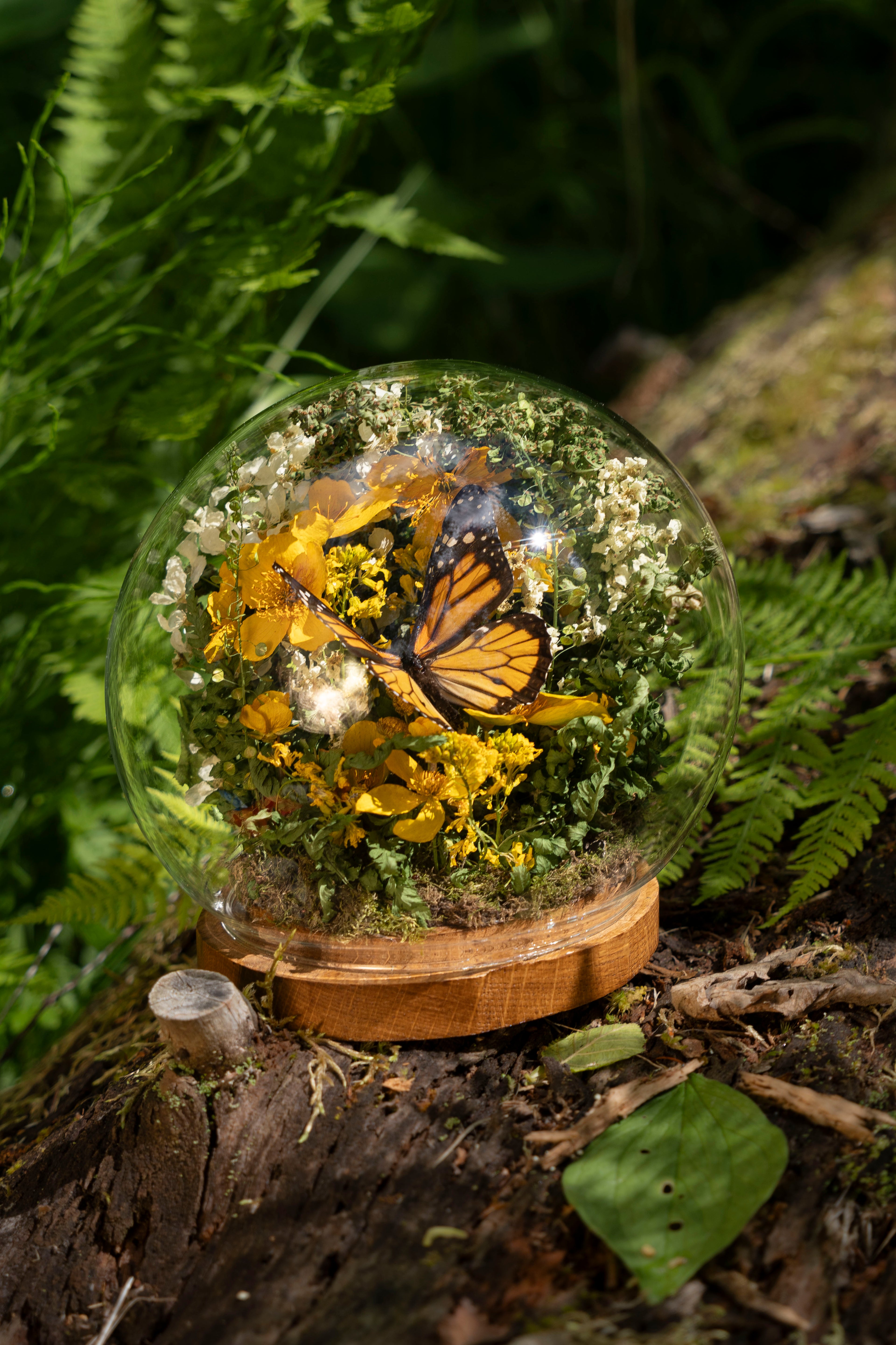 Mini World: Monarch Butterfly