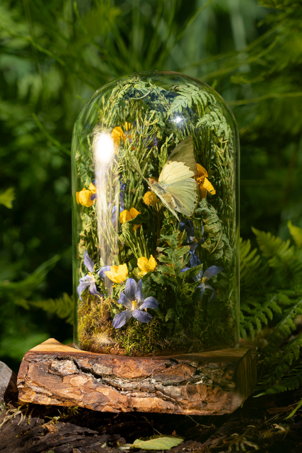 Mini World: Buttercups