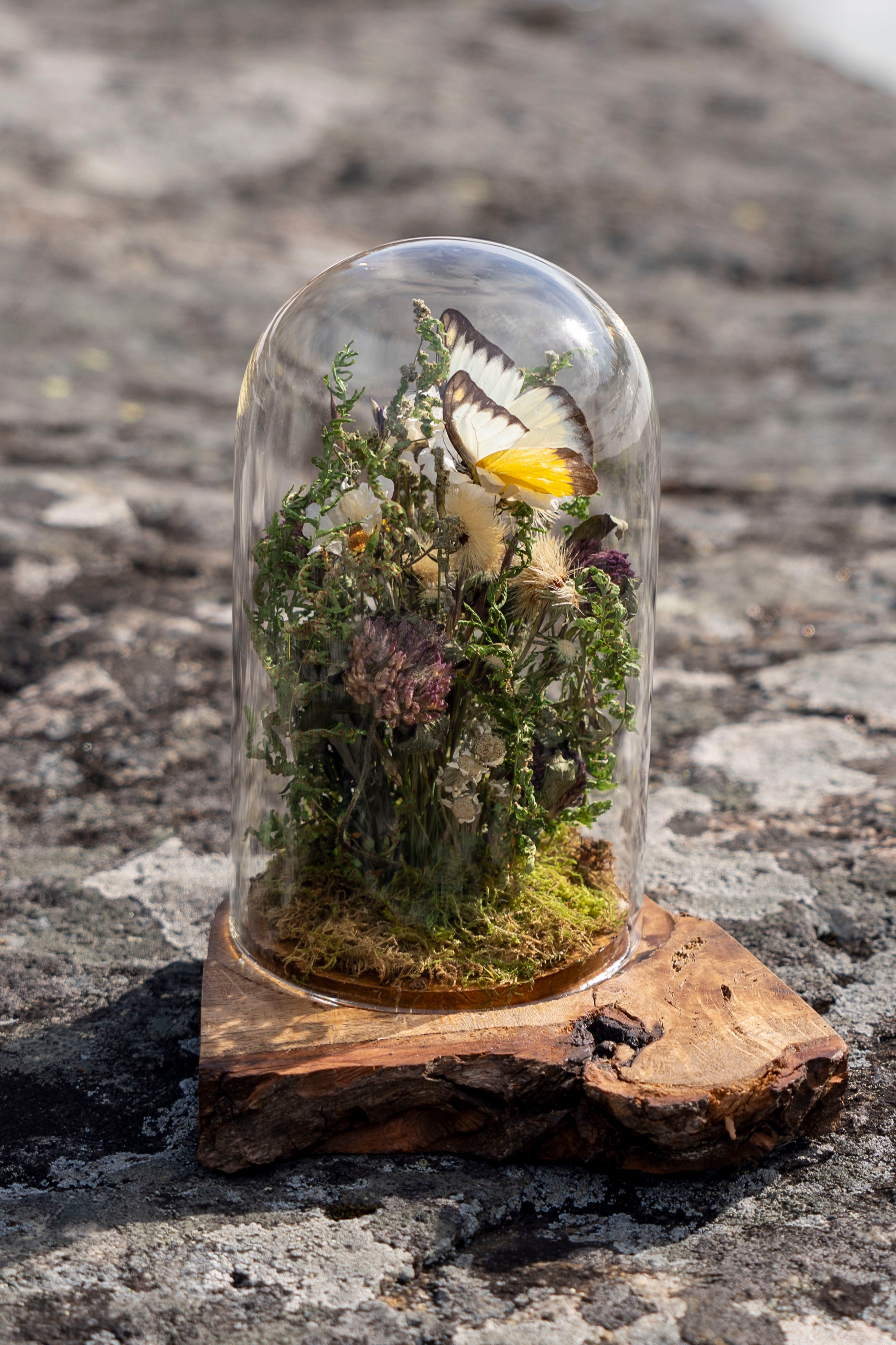 Mini World: Amber Field