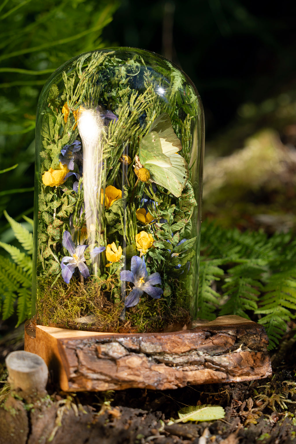 Mini World: Buttercups