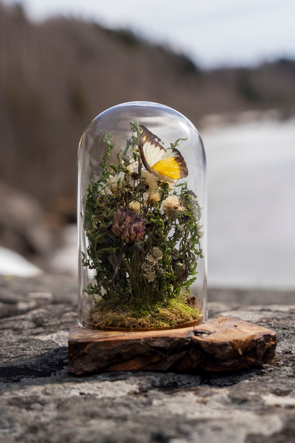 Mini World: Bärnstensfältet