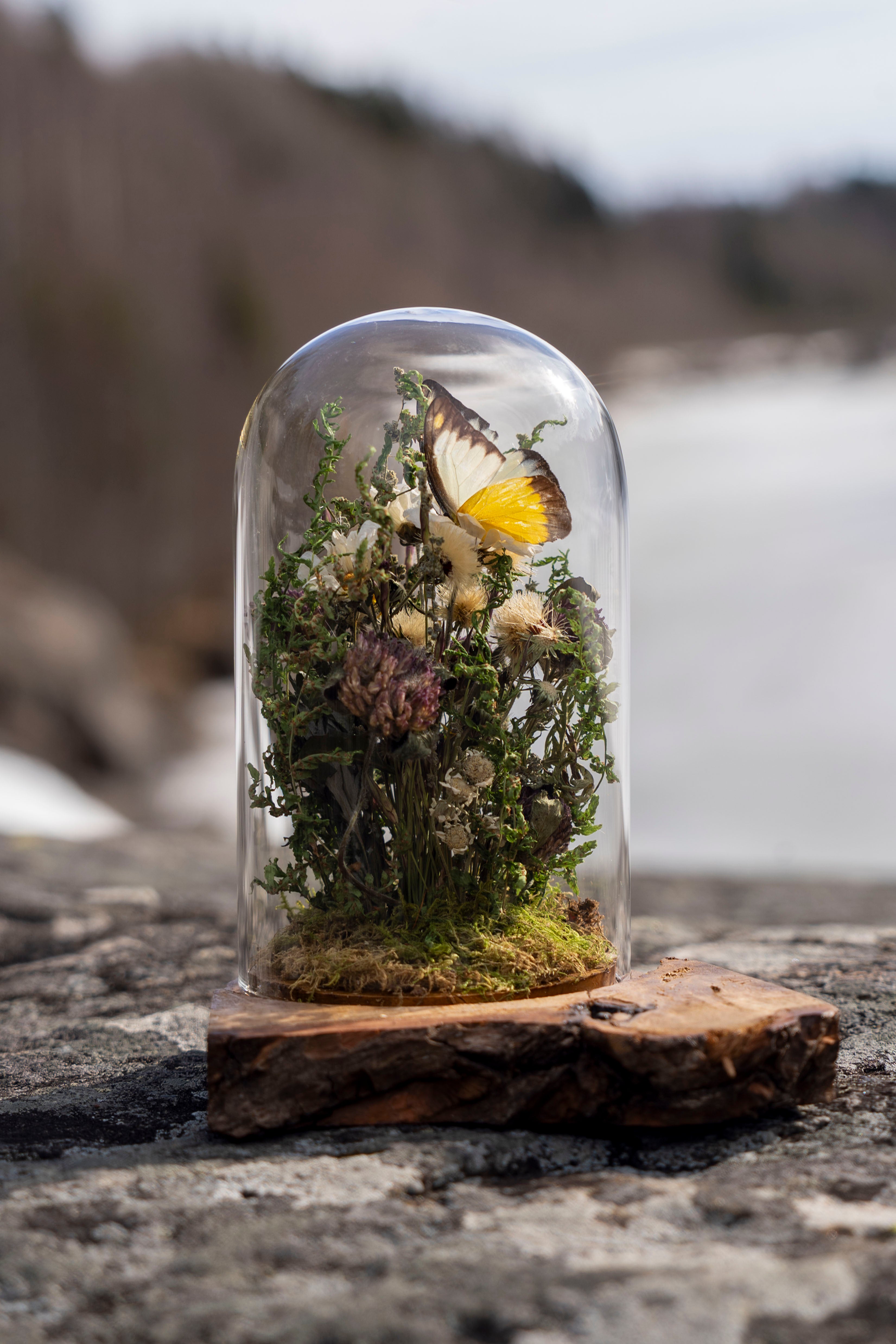 Mini World: Amber Field